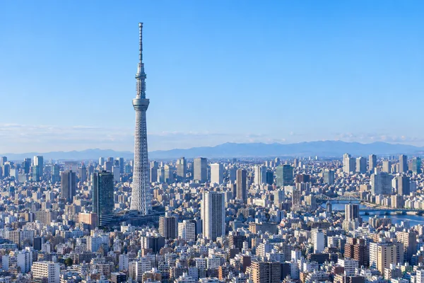 La Tokyo Skytree sopra la città nella luce limpida del mattino